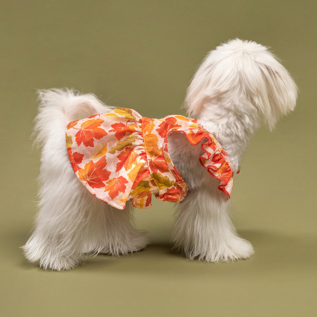 Fall Maple Ruffle Dog Dress | Autumn Colors & Comfort Fitwarm Fall Maple Ruffle Dog Dress | Autumn Colors & Comfort Fitwarm