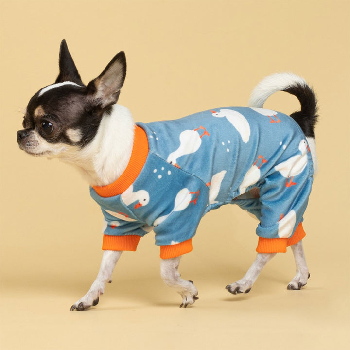 Dog wearing blue dog pajamas decorated with playful duck patterns