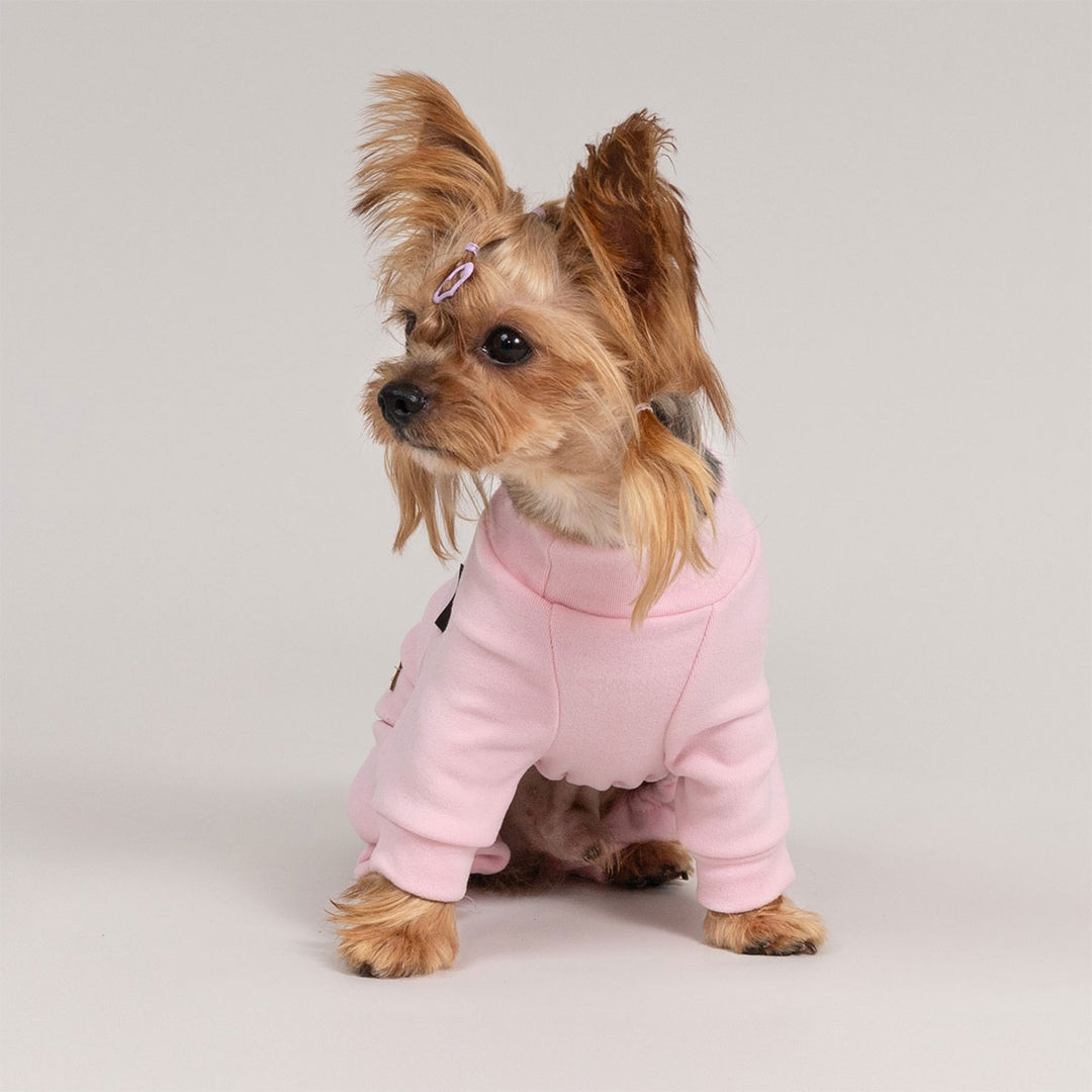 Dog sitting in cozy pink dog pjs designed for comfortable wear