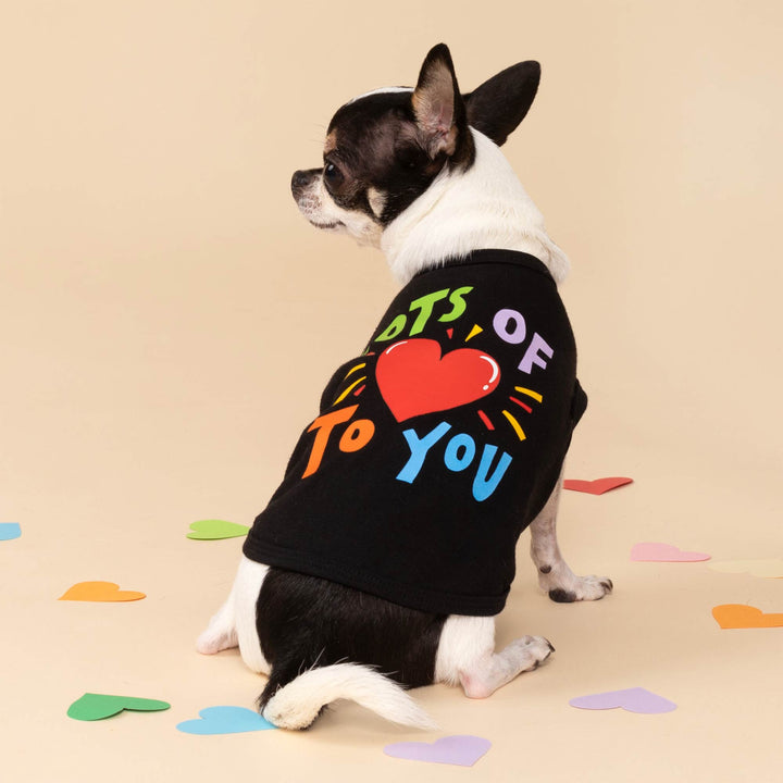 Lively dog dressed in a black Valentine-style dog shirt with vibrant lettering, shown running on a clean white background