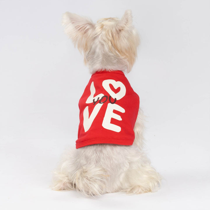White fluffy dog in a red Valentine shirt for dogs featuring bold LOVE graphics, viewed from the back