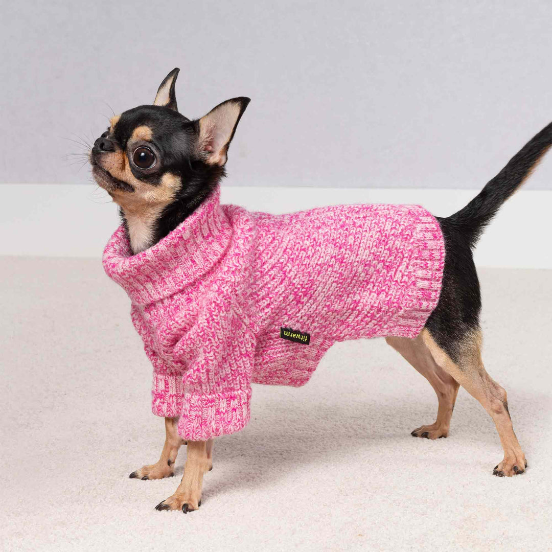 Small dog wearing a pink heather sweater for dogs