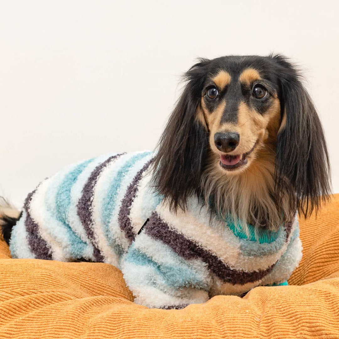 Dachshund lying on cushion in striped fluffy dog pajamas, cozy and stylish sleepwear