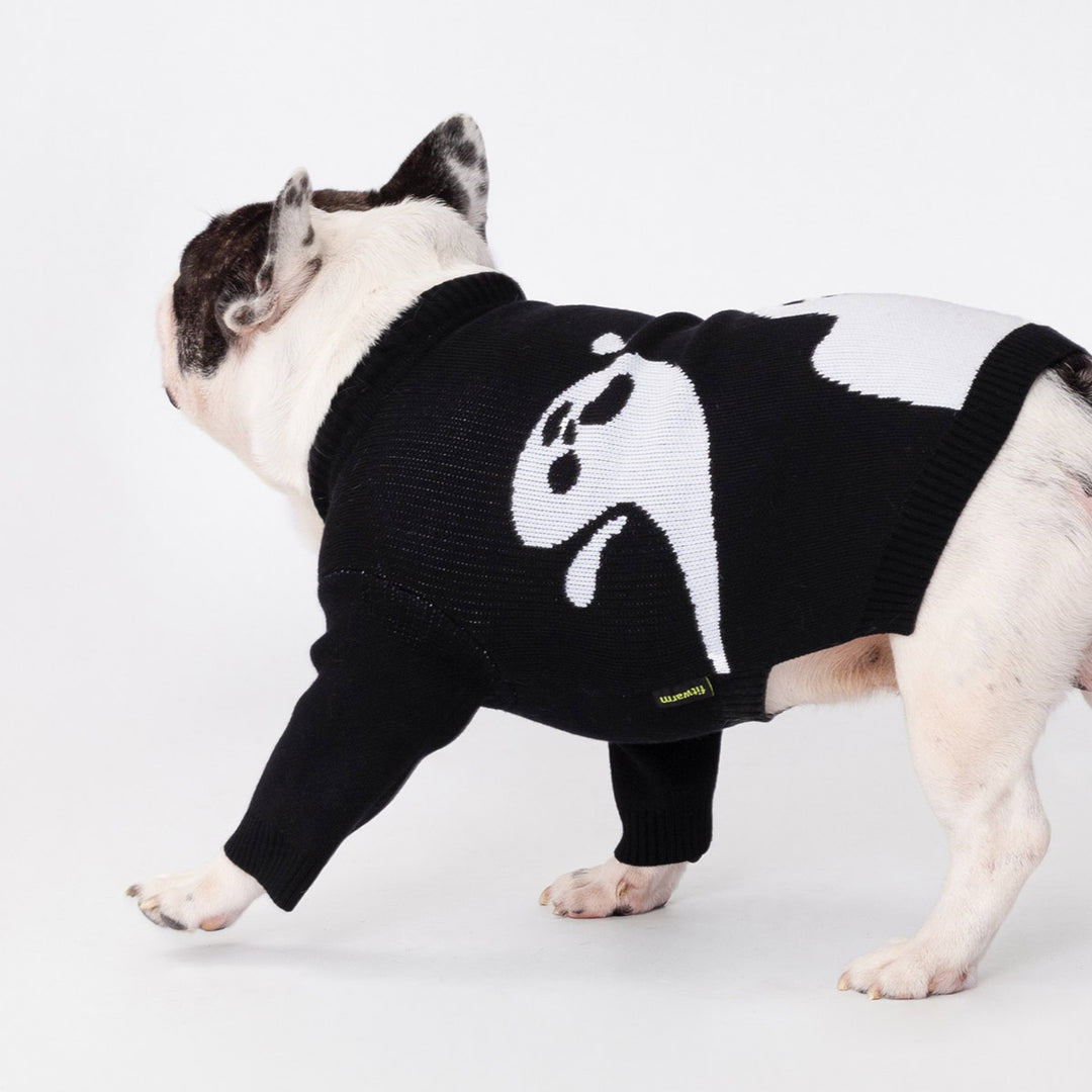Black knit ghost dog sweater, pullover style, worn by French Bulldog. Soft & stretchy Halloween apparel.