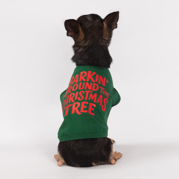 Cute Chihuahua in a festive Christmas shirt for dogs, green with red text