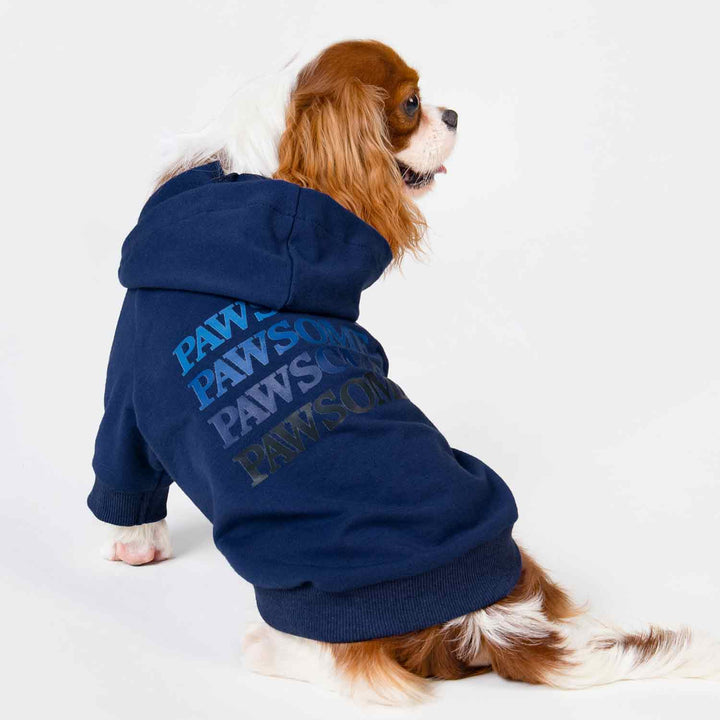 Pawsome Dog Hoodie for King Charles Spaniel - Fitwarm Dog Clothes