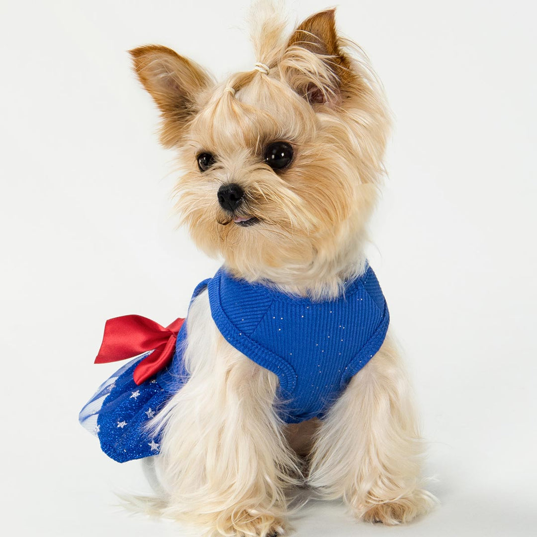 All American Girl Dog Dress