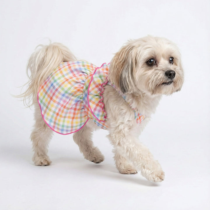 Side view of small dog wearing plaid dog dress with soft ruffle details