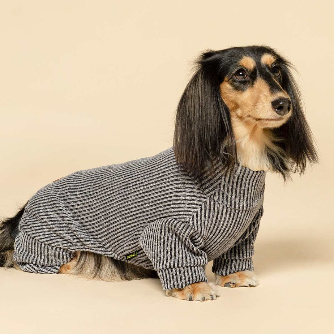 Dachshund wearing striped gray dog pajamas sitting on beige background