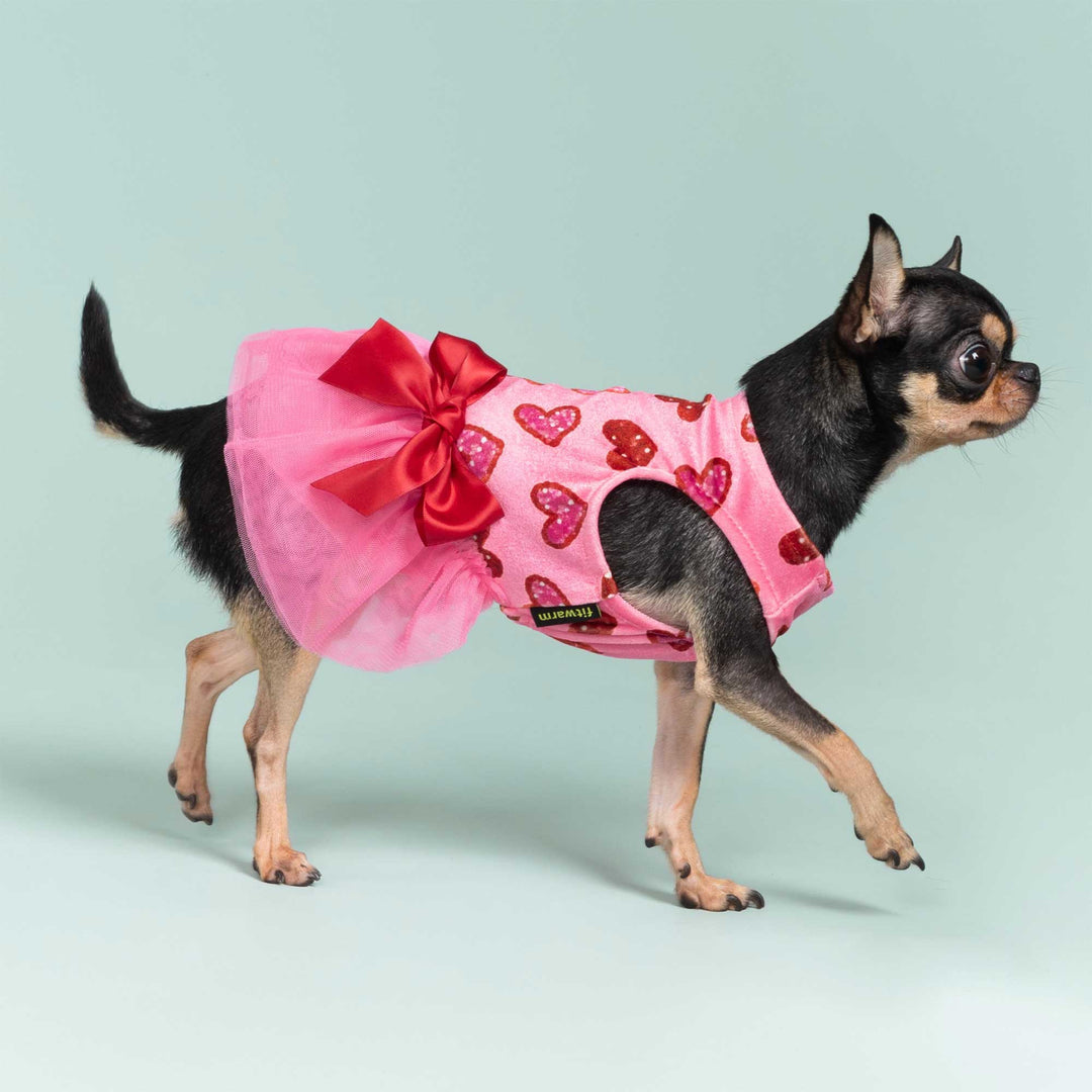 Small dog wearing a pink valentine dress for dog decorated with heart patterns