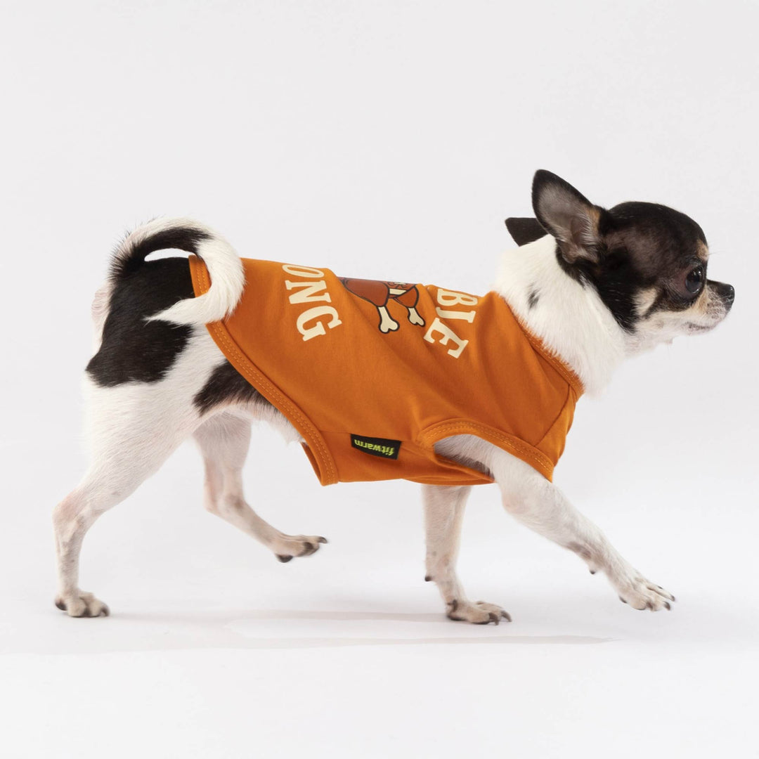 Cute Chihuahua posing in a bright orange dog shirt with a fun football design.