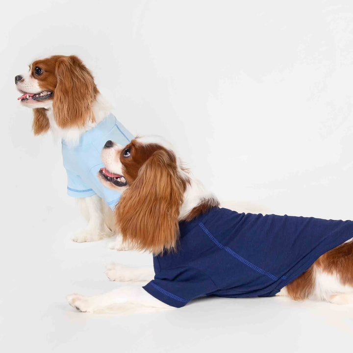 King Charles Spaniels in Classic Blue Dog Shirts - Fitwarm Dog Clothes