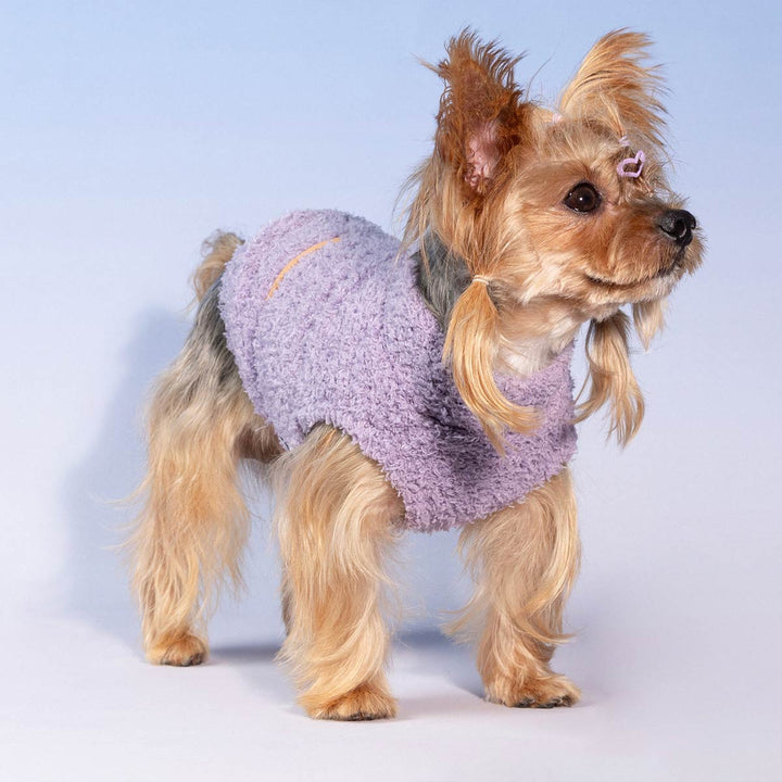 Adorable small dog dressed in fluffy lavender striped dog sweater