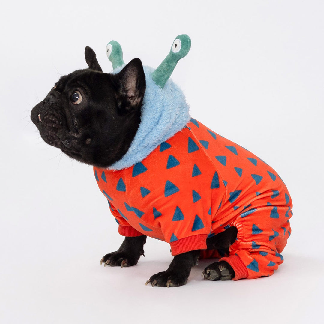 Black French Bulldog wearing orange monster dog costumes with blue hood
