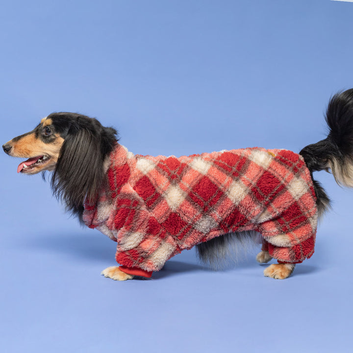 Cute dachshund dressed in cozy red plaid dog jammies with fluffy texture