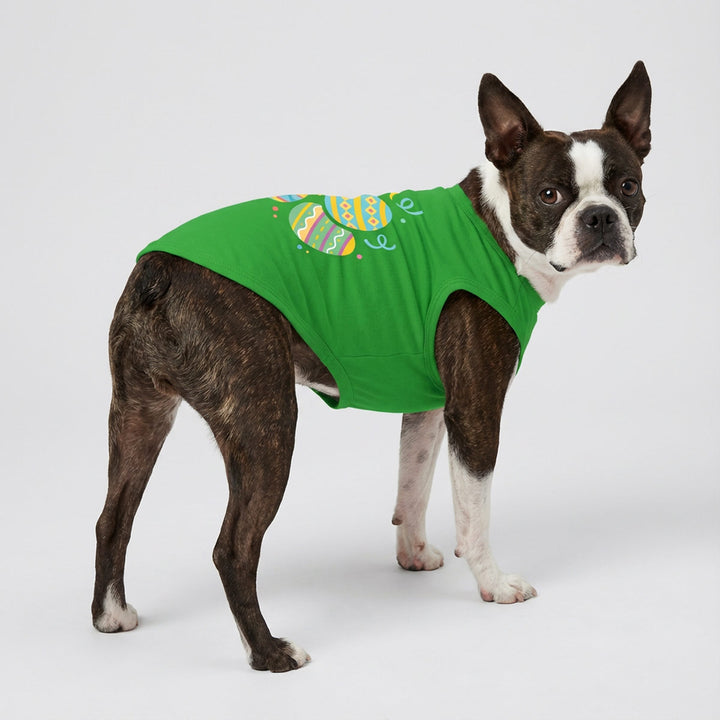 Dog wearing a green shirt for dogs with a colorful Easter egg design on a white background