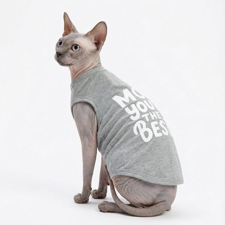 Sphynx cat sitting on the floor with grey dog shirt