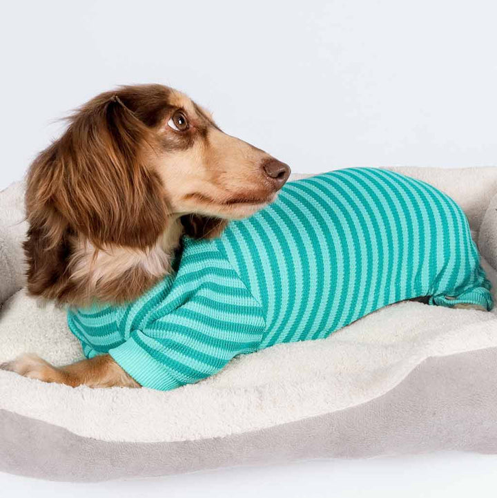 Dachshund in Waffle Stripe Dog Pajamas - Fitwarm Dog Clothes