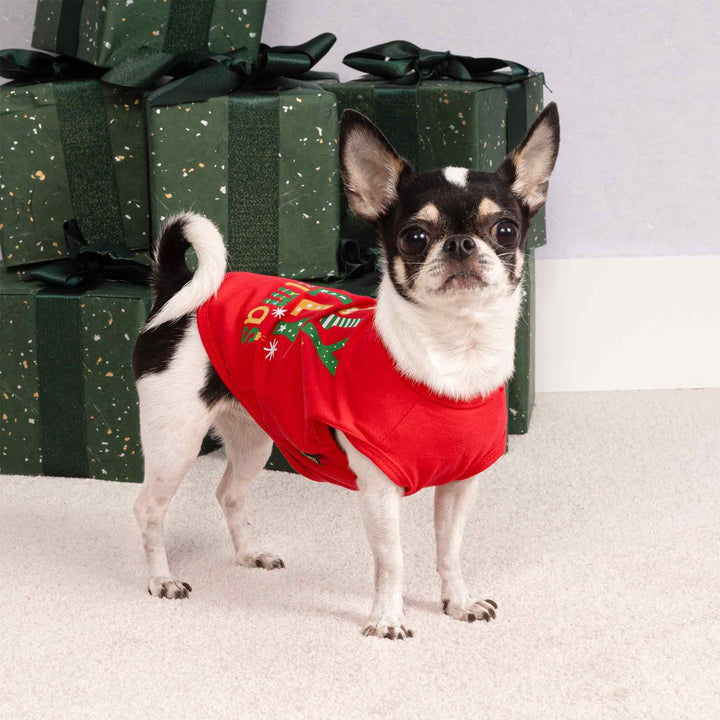 mall dog wearing a festive red Christmas shirt for dogs with colorful seasonal prints