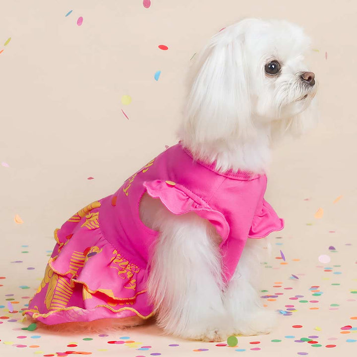 Maltese in a Cute Tiered Happy Birthday Dog Dress - Fitwarm Dog Clothes