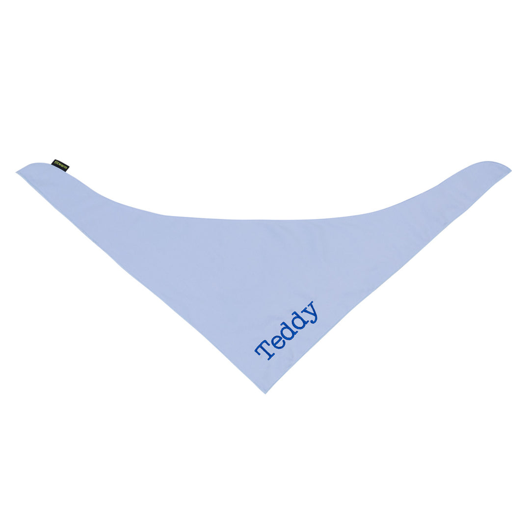 Light blue dog bandana with 'Teddy' embroidery on a white background
