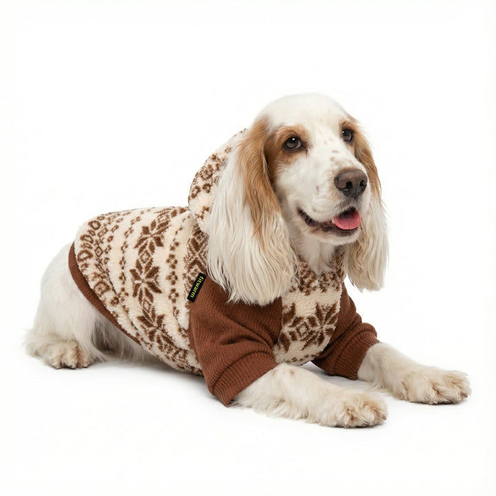 Dog wearing a brown and white dog fleece sweatshirt on a white background