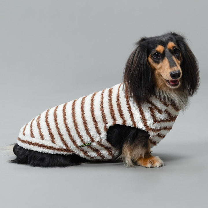 Small dog models cozy brown and white striped dog sweater