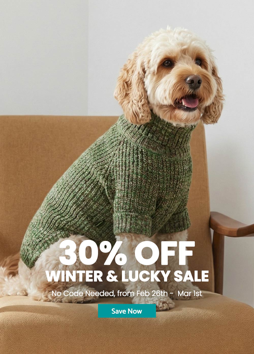 30% off on St. Patrick's Day and winter dog clothes collection