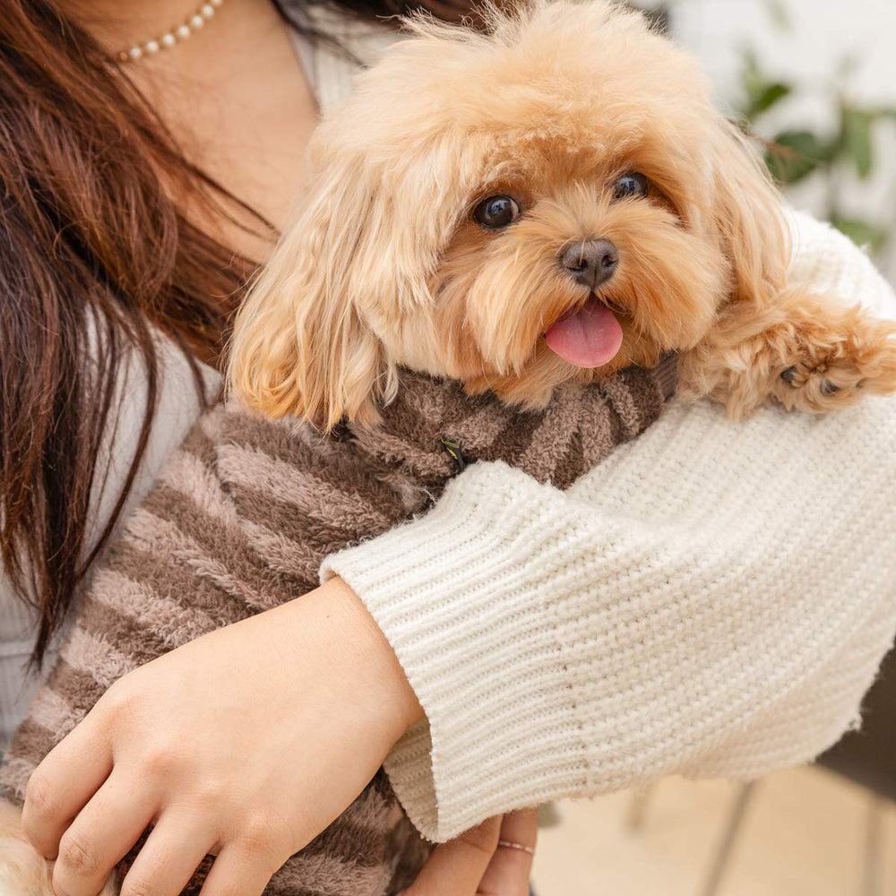 Fluffy small dog wearing striped fleece pajama onesie - cozy dog sleepwear by Fitwarm.