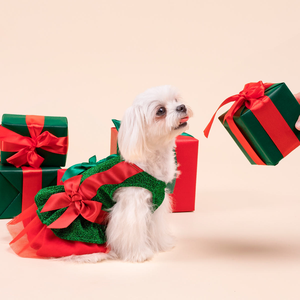 面白いクリスマスギフト犬用ドレス - Fitwarm