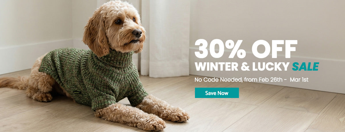 30% off on St. Patrick's Day and winter dog clothes collection