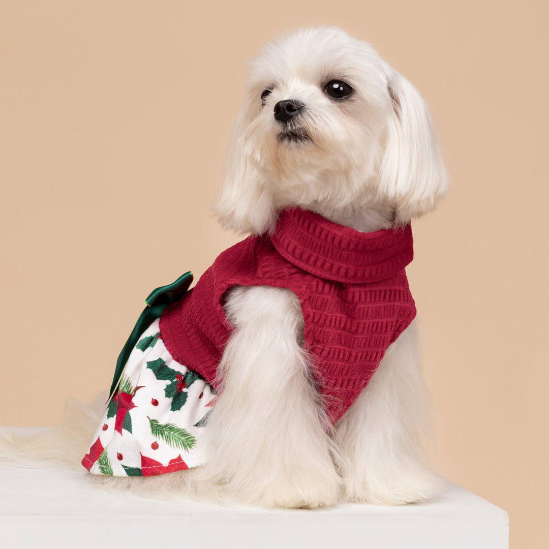 Christmas Floral Dog Dress | Red & Green Festive Outfit XX-SMALL Christmas Floral Dog Dress | Red & Green Festive Outfit XX-SMALL