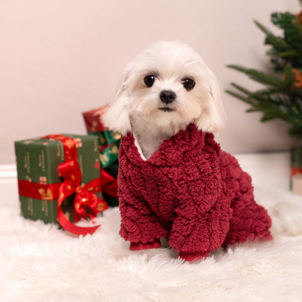 Maltese dog in red fleece collared dog pajamas with gifts and Christmas tree. Perfect for the holiday season.