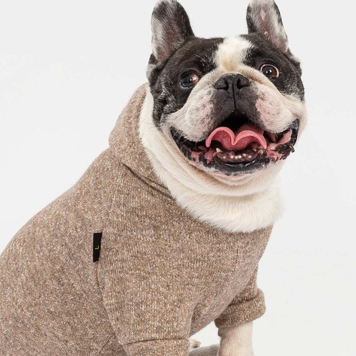 French bulldog in heathered beige knit dog hoodie with leash hole, showcasing soft texture and comfortable fit.