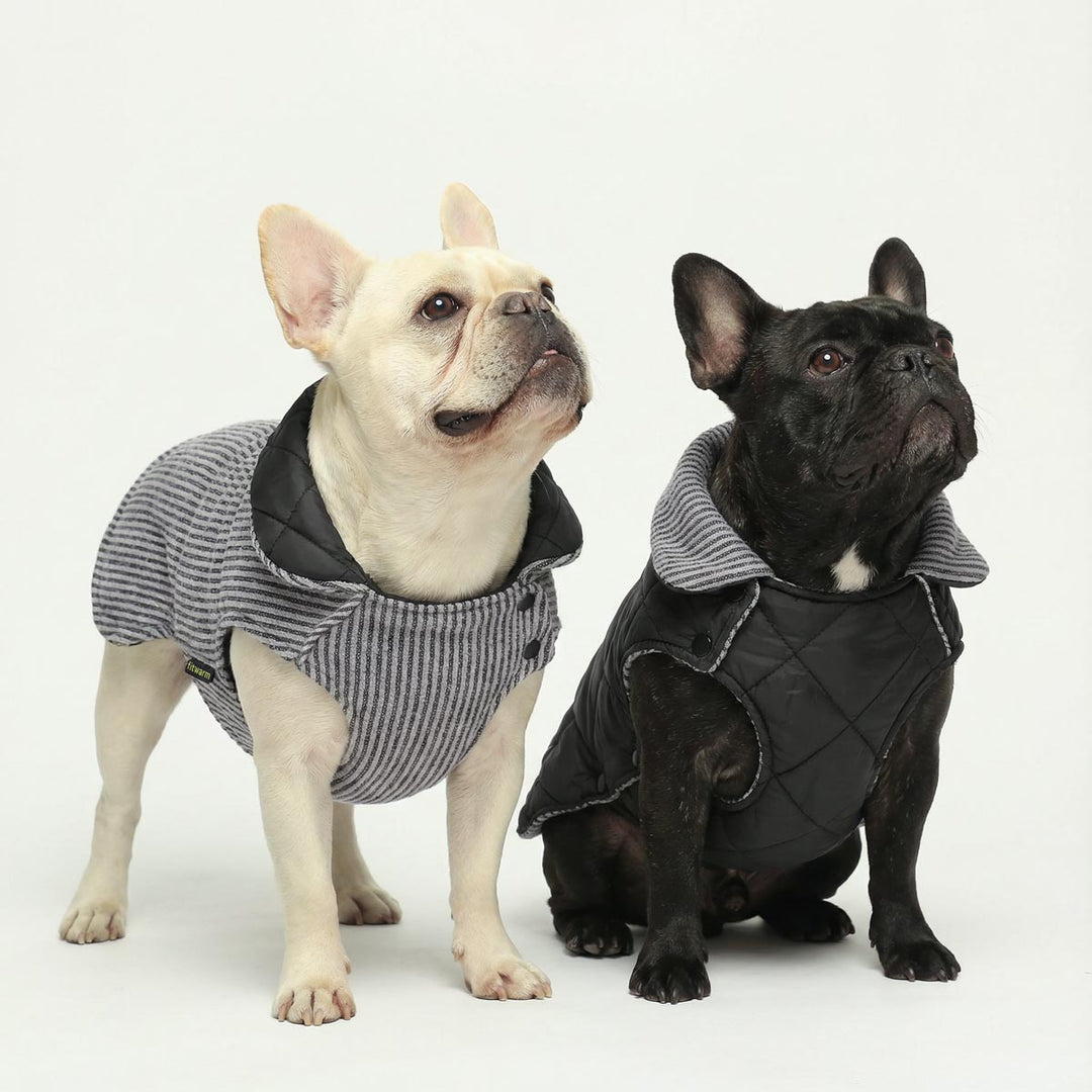 Dogs modeling a reversible dog coat featuring quilted and ribbed designs