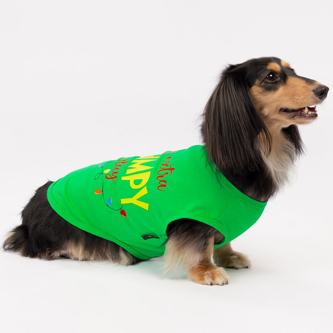 Long-haired dachshund dressed in green Christmas dog tank top with playful seasonal design.
