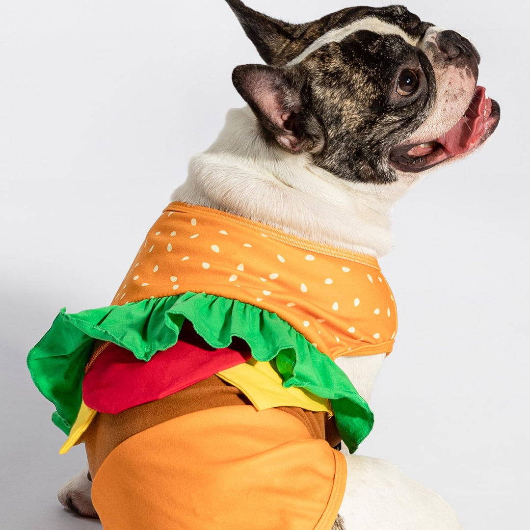 Hamburger Dog Costume Fitwarm