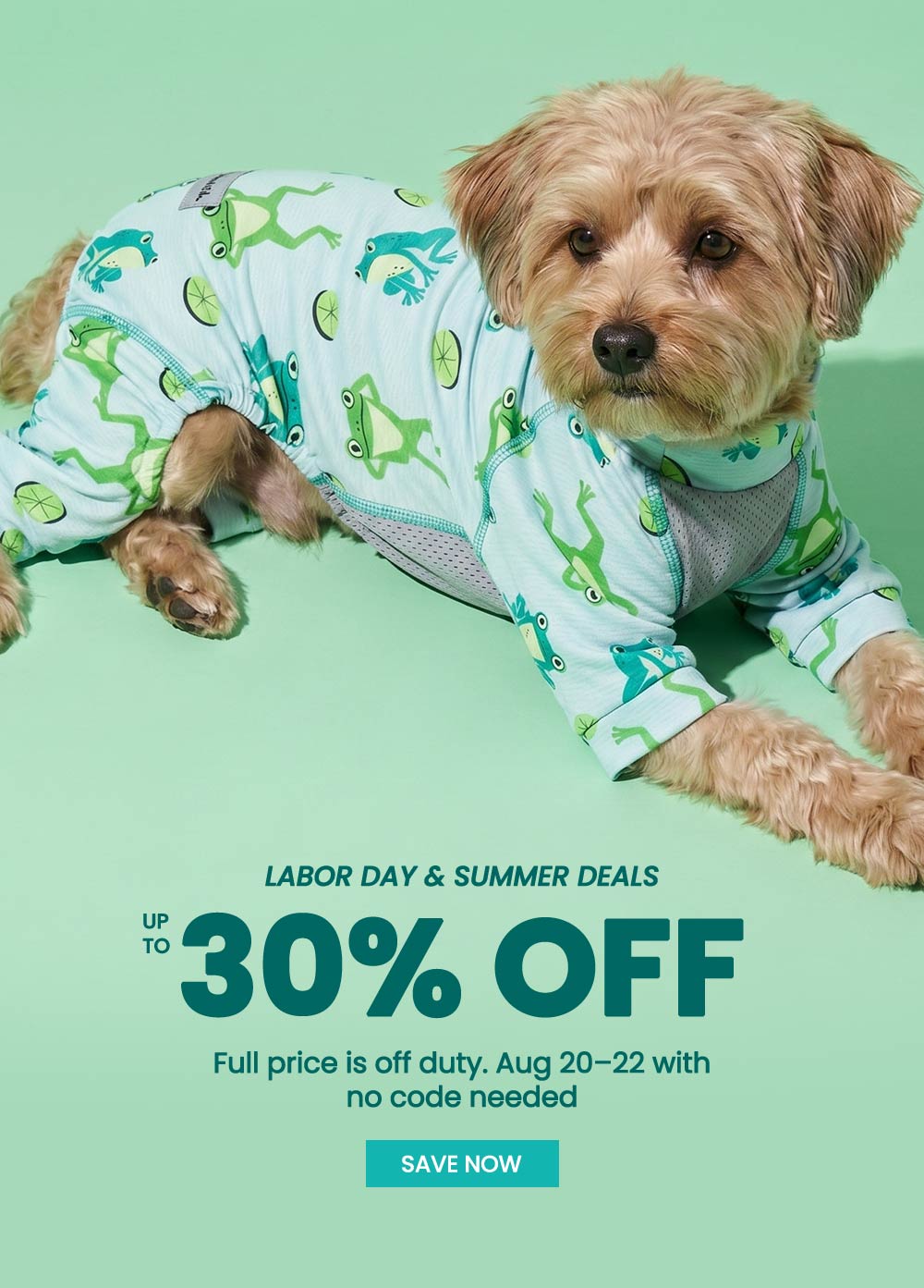 Small tan dog wearing a light green and white frog-print onesie lies on a mint green background