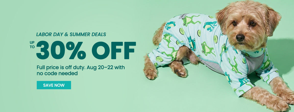 Small tan dog wearing a light green and white frog-print onesie lies on a mint green background