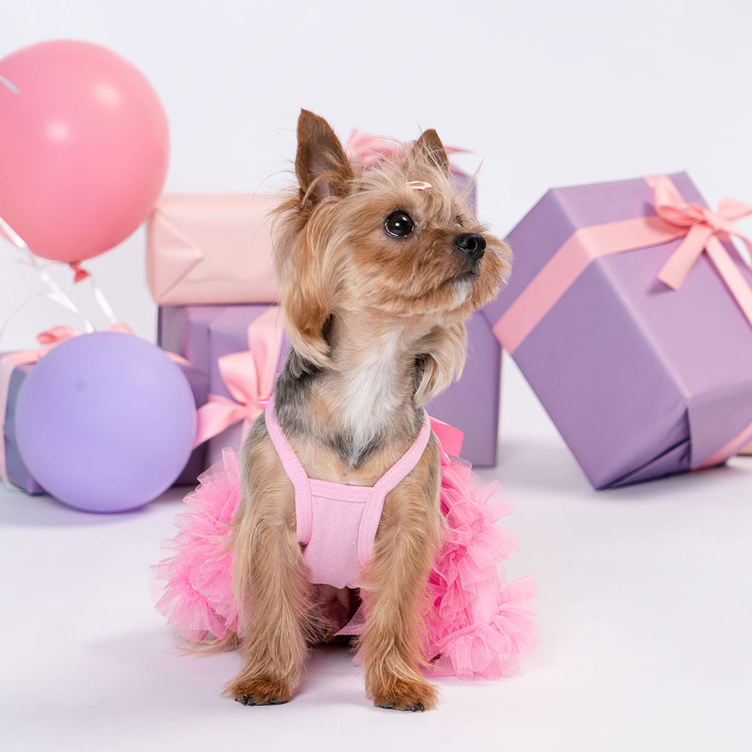 Dog Tutu Dress Pink Purple | Pet Birthday & Party Wear Fitwarm Dog Tutu Dress Pink Purple | Pet Birthday & Party Wear Fitwarm