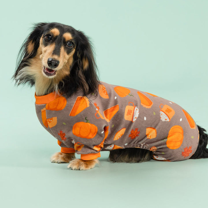 Dachshund wearing cozy pumpkin print dog pajamas with autumn themed design