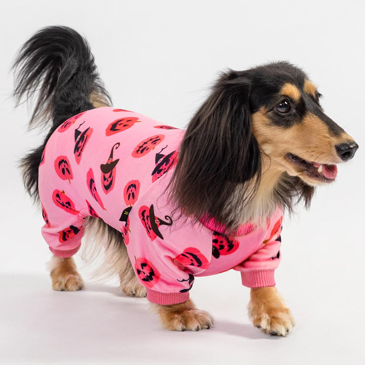 Adorable dachshund modeling spooky pink dog jammie decorated with witch hat pumpkins