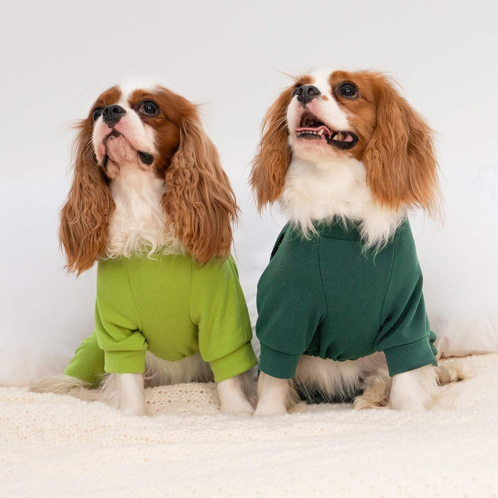 Two dogs wearing cozy dog pajamas in dark green and light green