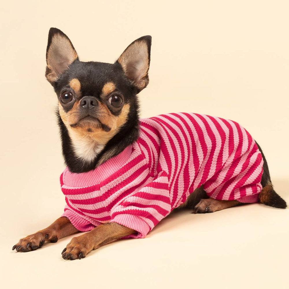 Chihuahua in pink and red striped waffle pajamas, cozy dog apparel for chilly nights.