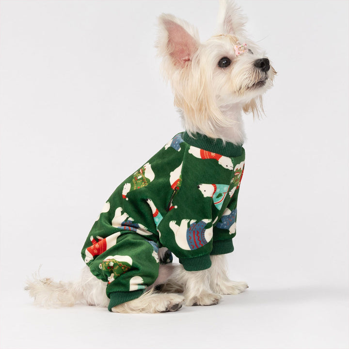 White dog posing in festive Christmas dog pjs covered with cheerful polar bear patterns