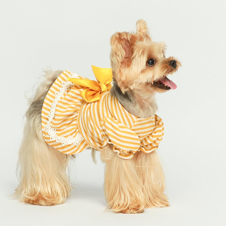 Summer Plaid dresses for dogs