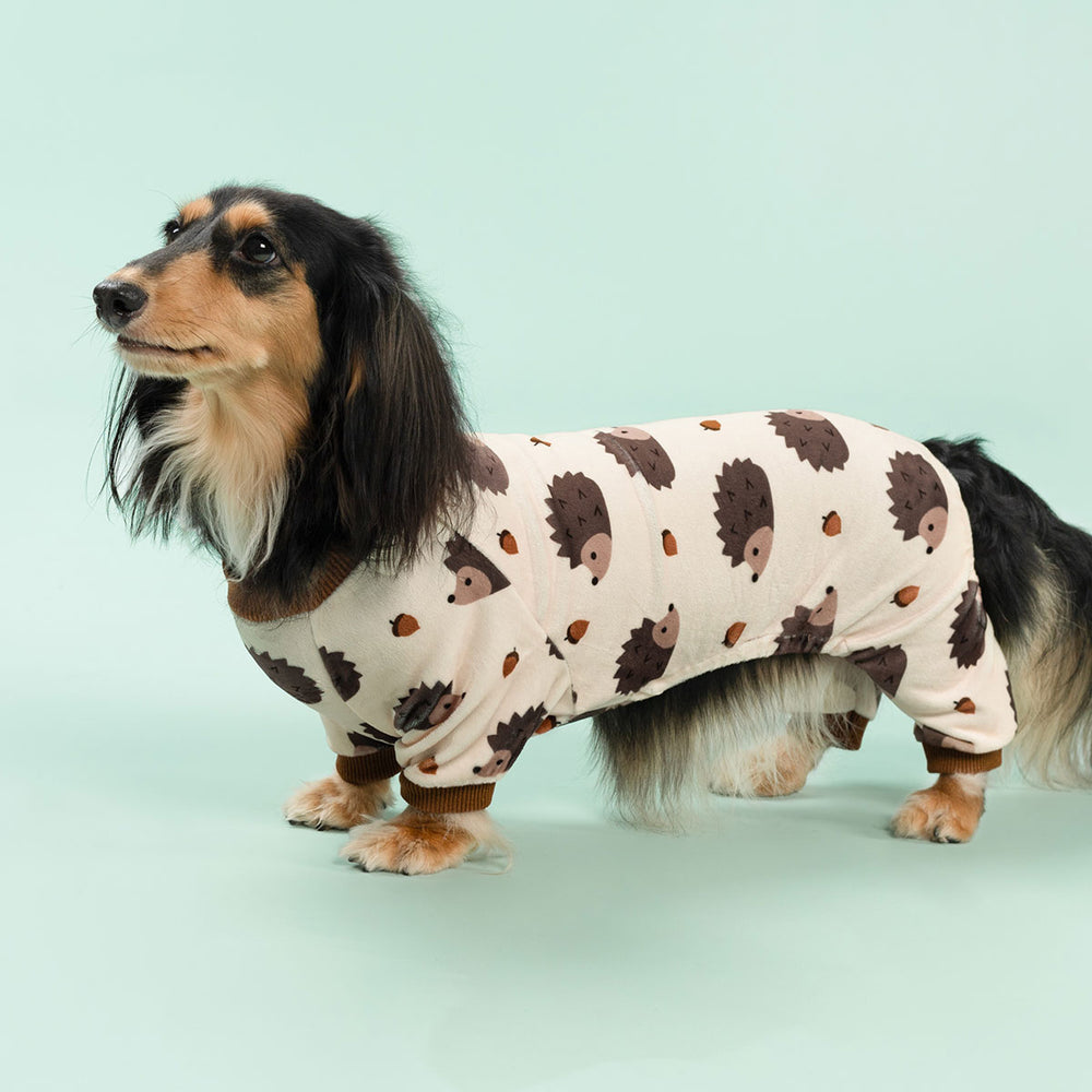 Dachshund wearing cozy dog pajamas with cute brown hedgehog and acorn prints on cream fabric