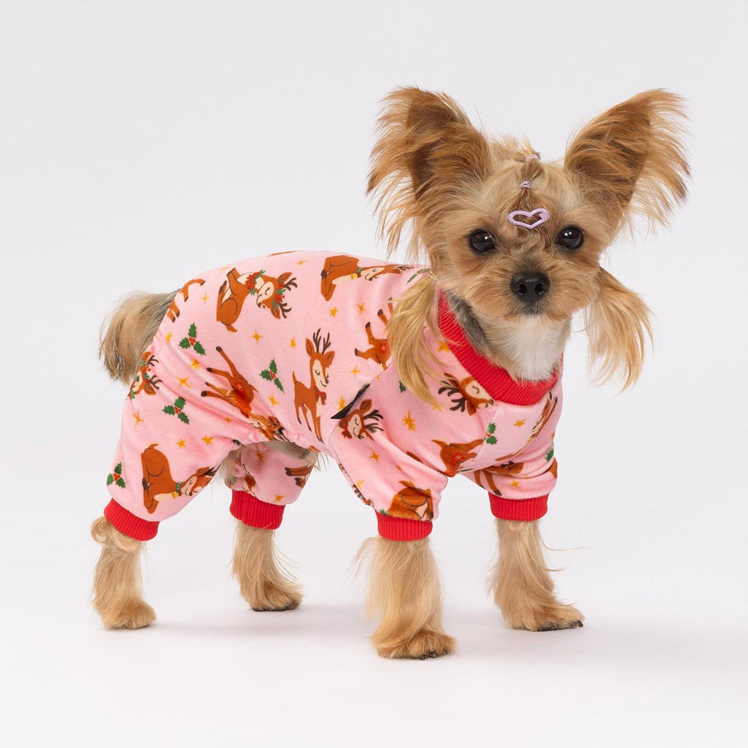 Yorkshire Terrier dressed in festive reindeer Christmas dog pajamas