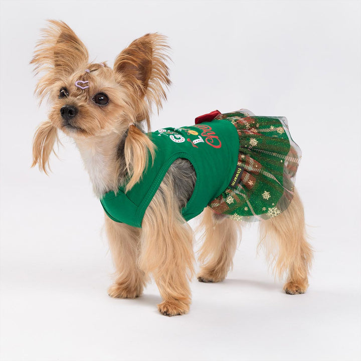 Small dog wearing green christmas dog dress with red bow and glittery skirt