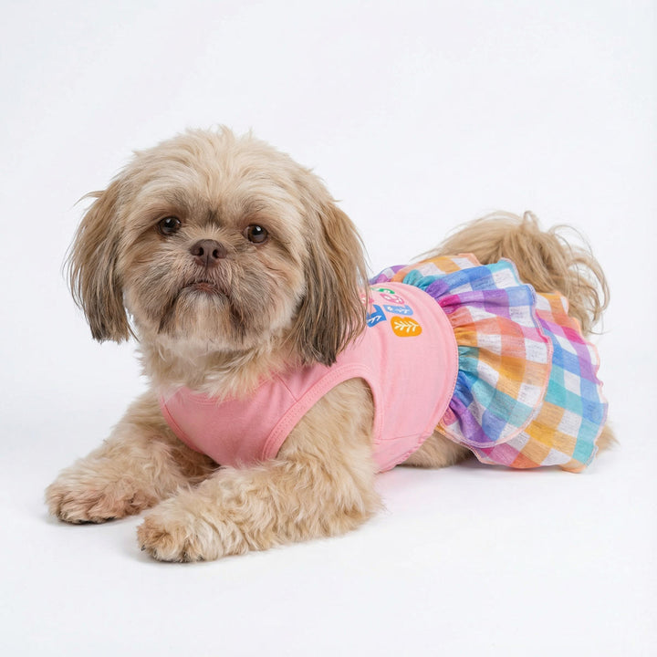 Dog wearing pastel plaid Easter dress for dog, lying on white background with colorful ruffle skirt